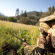 Image for article titled You Don't Know Turkey About Wild Turkeys